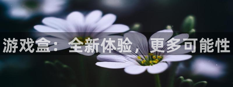 极悦娱乐注册登录平台：游戏盒：全新体验，更多可能性