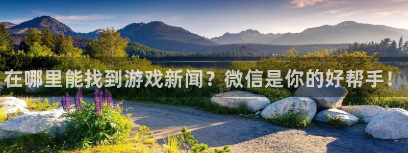 极悦娱乐什么意思：在哪里能找到游戏新闻？微信是你的好帮手！