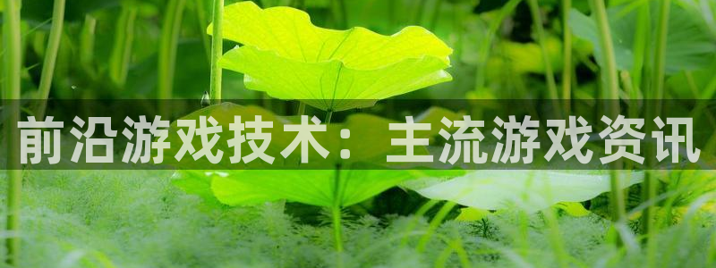极悦娱乐网页版地址：前沿游戏技术：主流游戏资讯