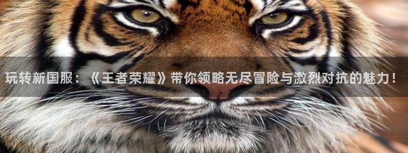 极悦娱乐注册账号：玩转新国服：《王者荣耀》带你领略无尽冒险与