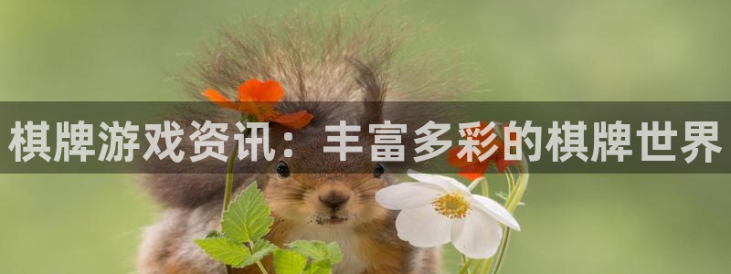 极悦娱乐下载：棋牌游戏资讯：丰富多彩的棋牌世界