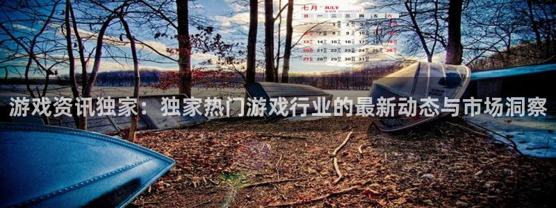 极悦娱乐注册登录平台：游戏资讯独家：独家热门游戏行业的最新动